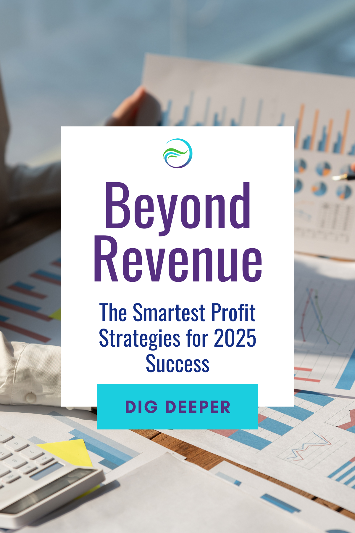 Beyond Revenue: The Smartest Profit Strategies for 2025 Success - USS ...